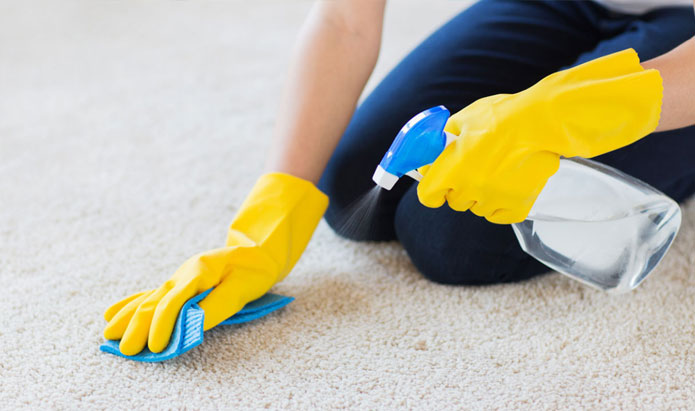 Carpet Cleaning